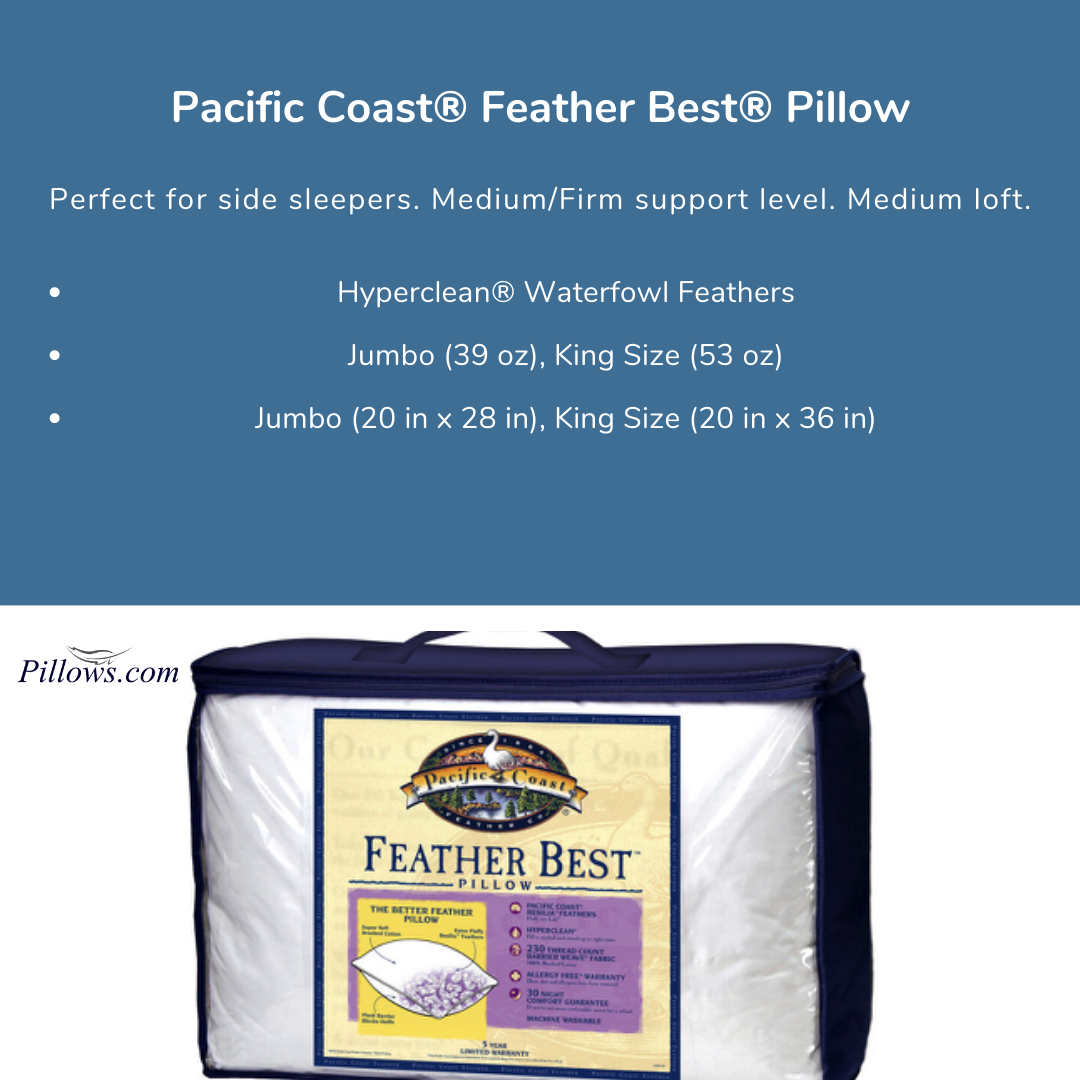 Pacific Coast Federn Bester Kissen