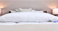 Holiday Inn® Featherbest Pillow