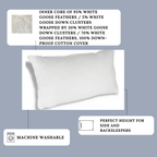 Rhapsody Wrap Down / Feder Kissen - in vielen Hyatt® Hotels vorgestellt