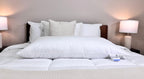 Holiday Inn® Featherbest Pillow