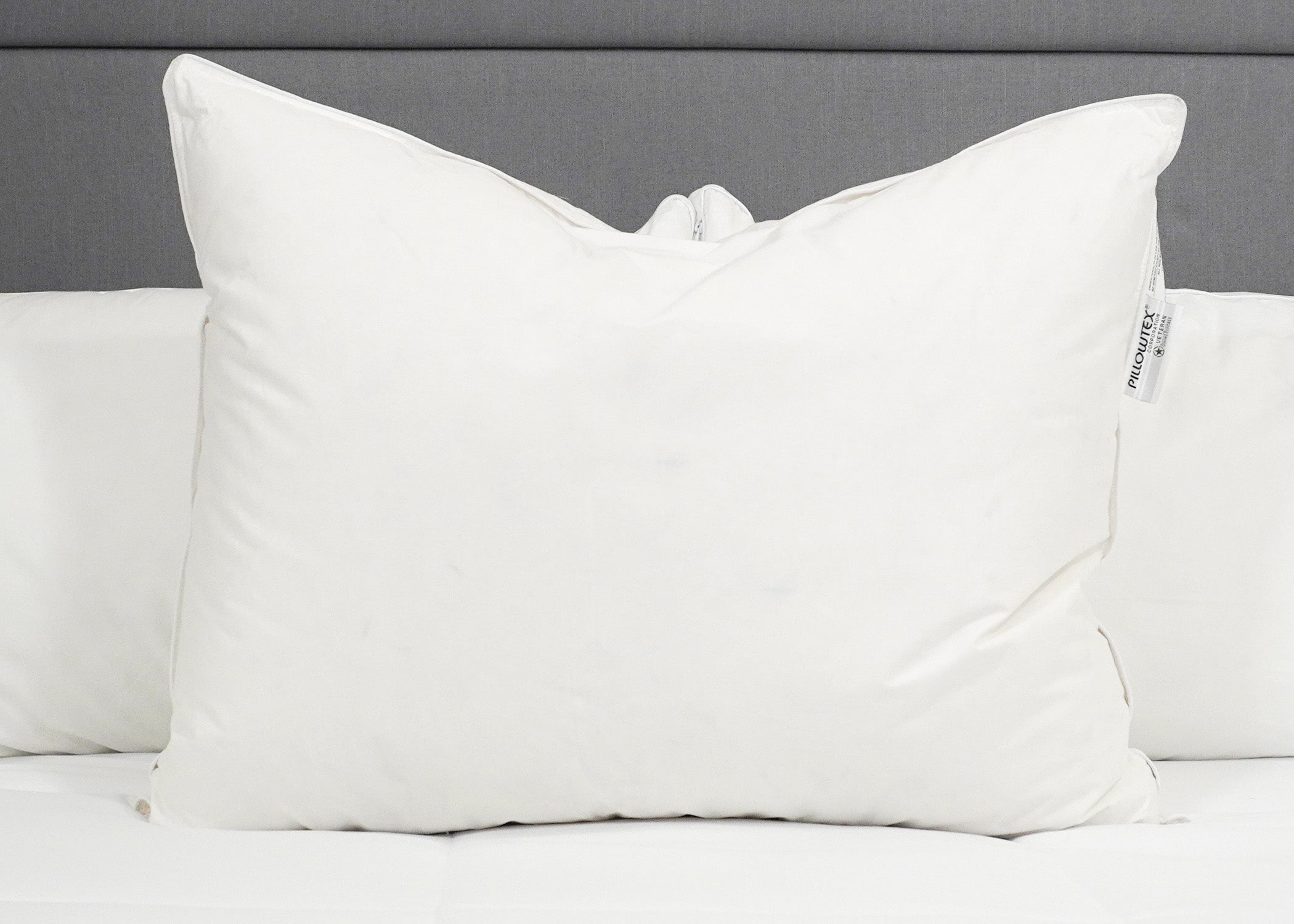 Pillowtex High End Weiß Goose Down Kissen | 50% Feder / 50% Down
