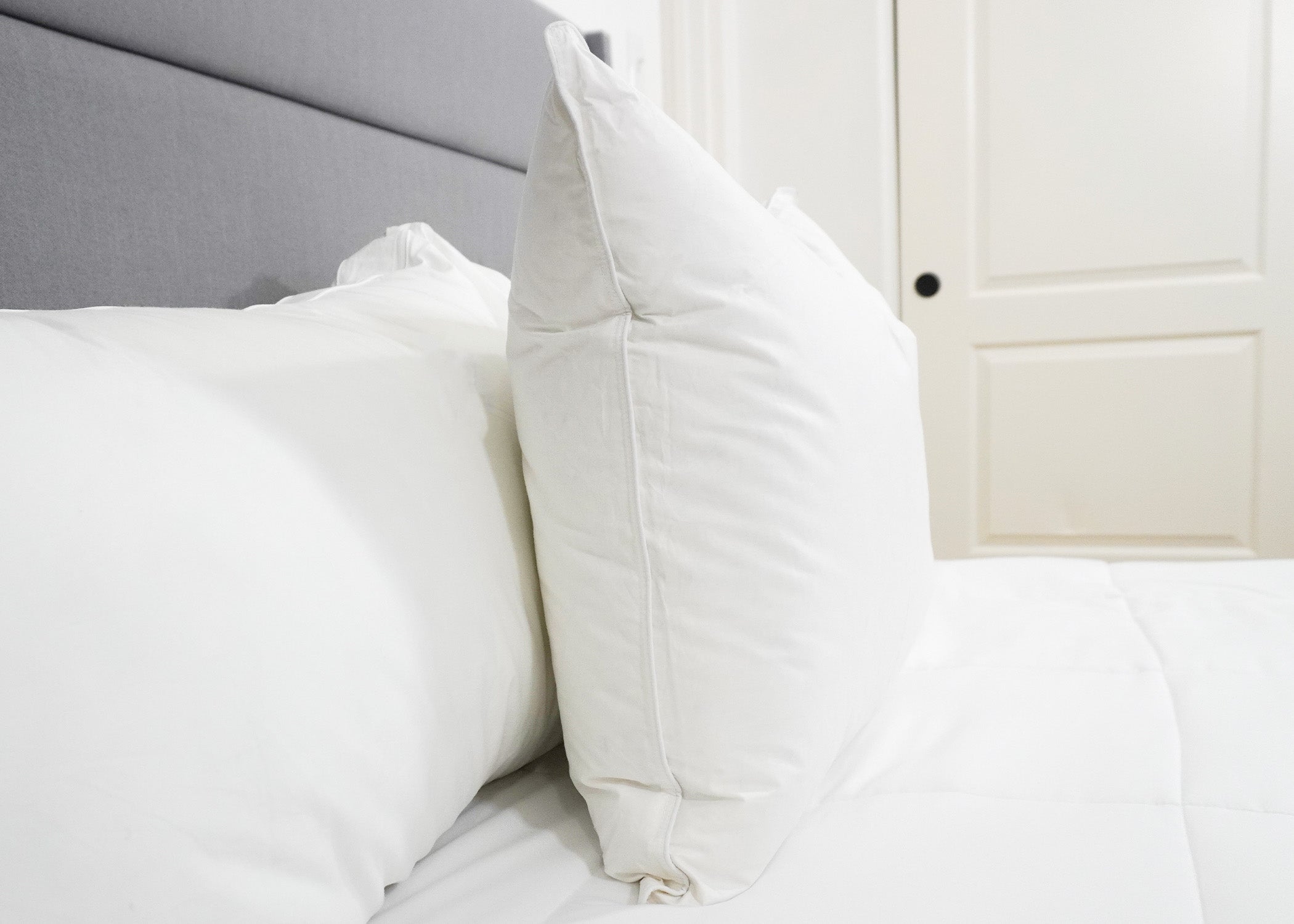 Pillowtex High End Weiß Goose Down Kissen | 50% Feder / 50% Down