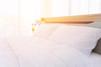 Pillowtex Pillowcases (2 Packung) 80% Baumwolle 20% Polyester | 300TC