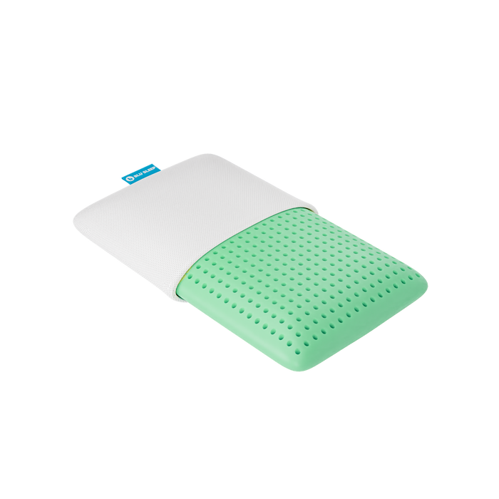 Blu Sleep Bio Aloe Vera Kissen | Cool, Cozy & Antibakterielle