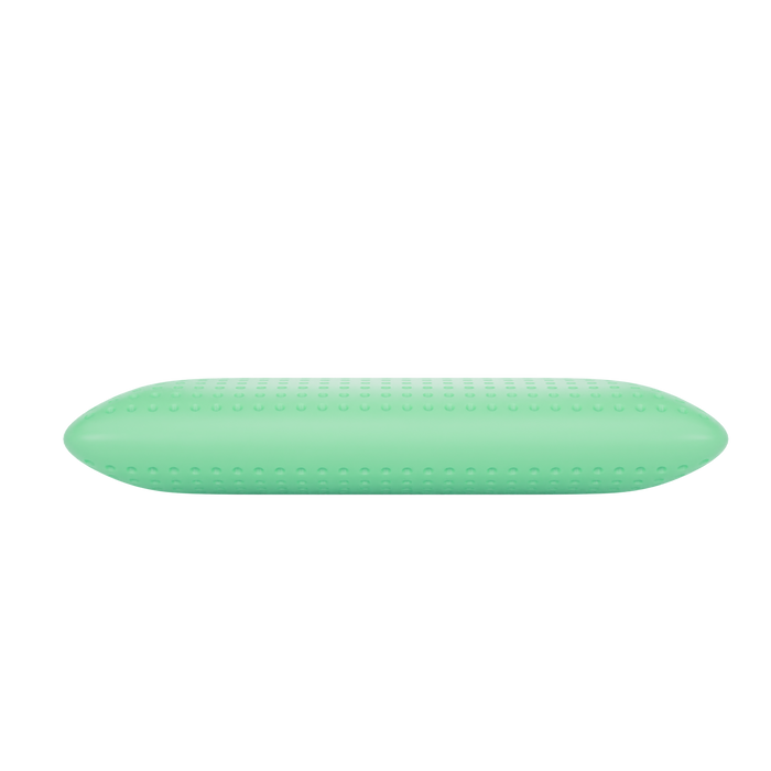 Blu Sleep Bio Aloe Vera Kissen | Cool, Cozy & Antibakterielle