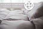 Pillowtex Dream in Color Bettdecke | Ganzjährig Gewicht mit weichem Polyester Bezug und Füllen