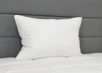 JS Fiber 'Ultra Down' Polyester Pillow
