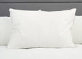 Pillowtex Weiß Goose Down & Feder Kissen | 75% Feder / 25% nach unten
