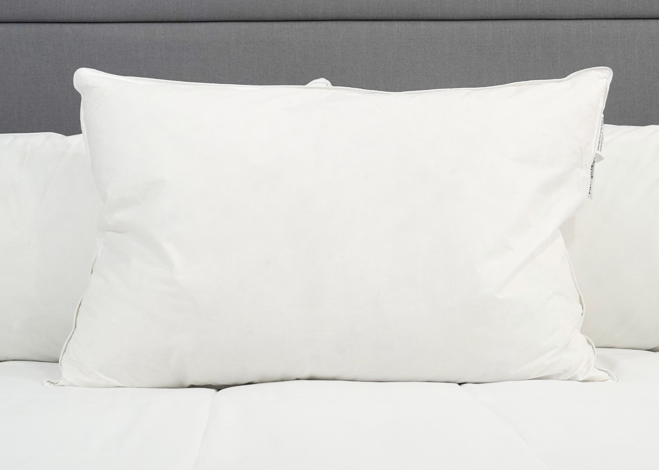 Pillowtex Weiß Goose Down & Feder Kissen | 75% Feder / 25% nach unten