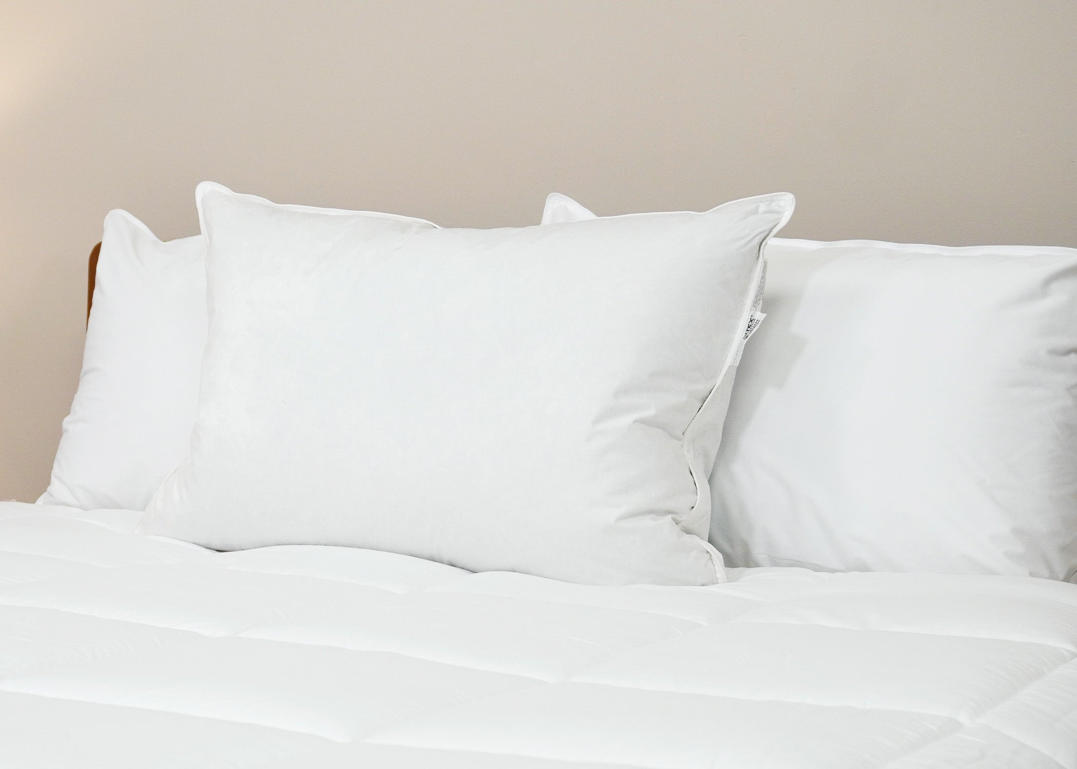 Pillowtex Luxury Core Down und Feder Kissen | 25% Feder / 75% Down