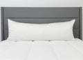 Pillowtex Body Pillow Bezug | Antimikrobielle Kupfer-Infundierte Bambus