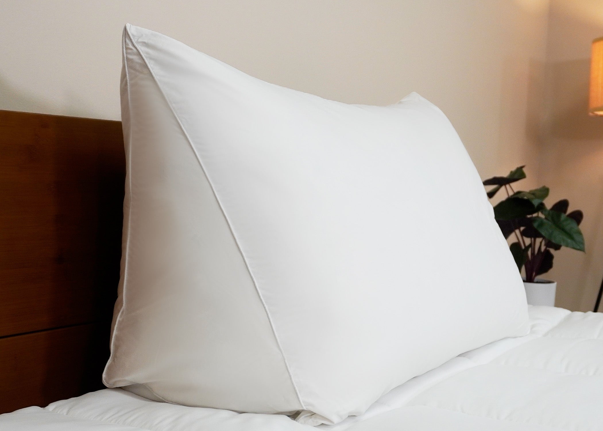 Pillowtex Lesen Wedge Bett Kissen