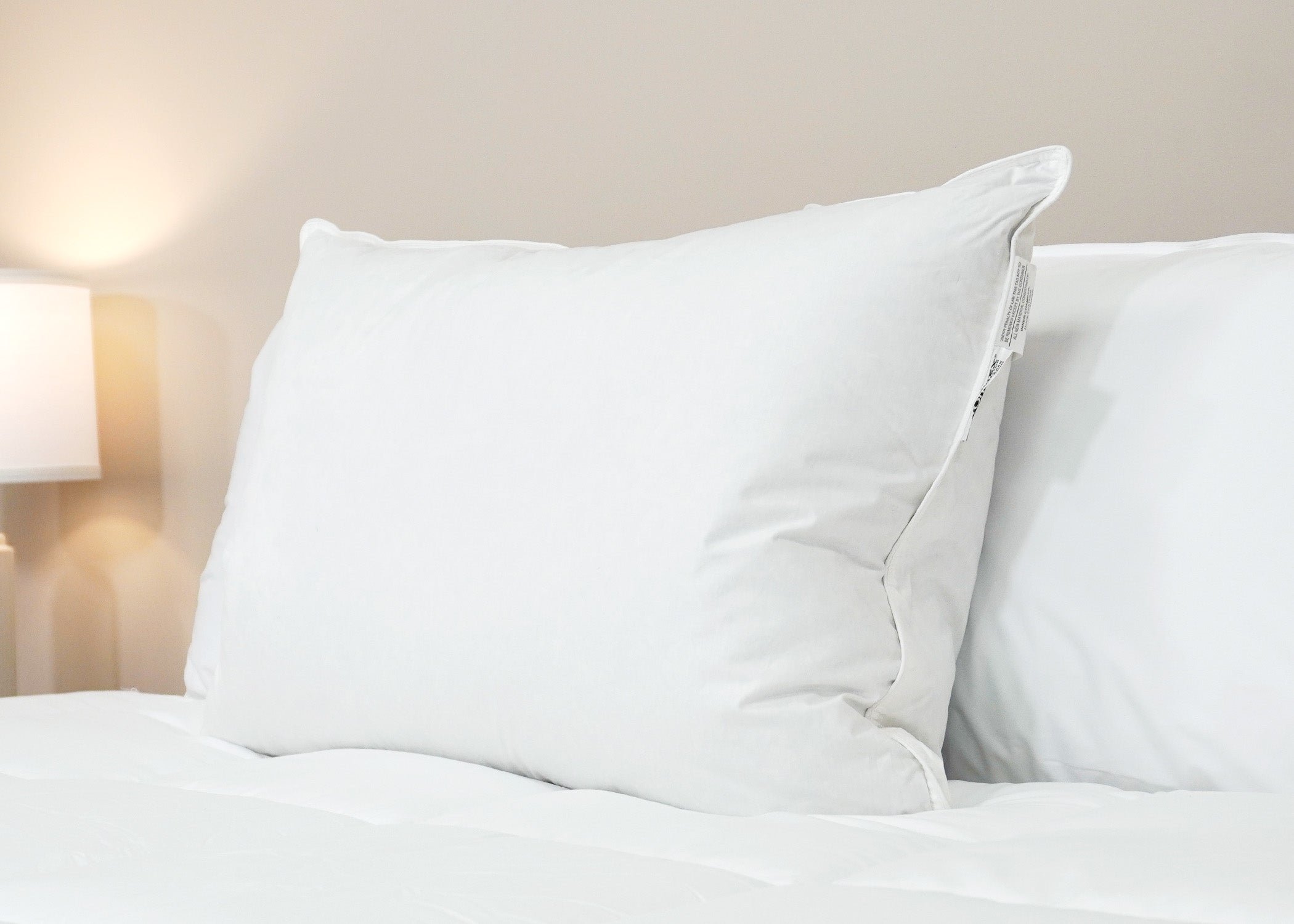 Pillowtex Luxury Core Down und Feder Kissen | 25% Feder / 75% Down