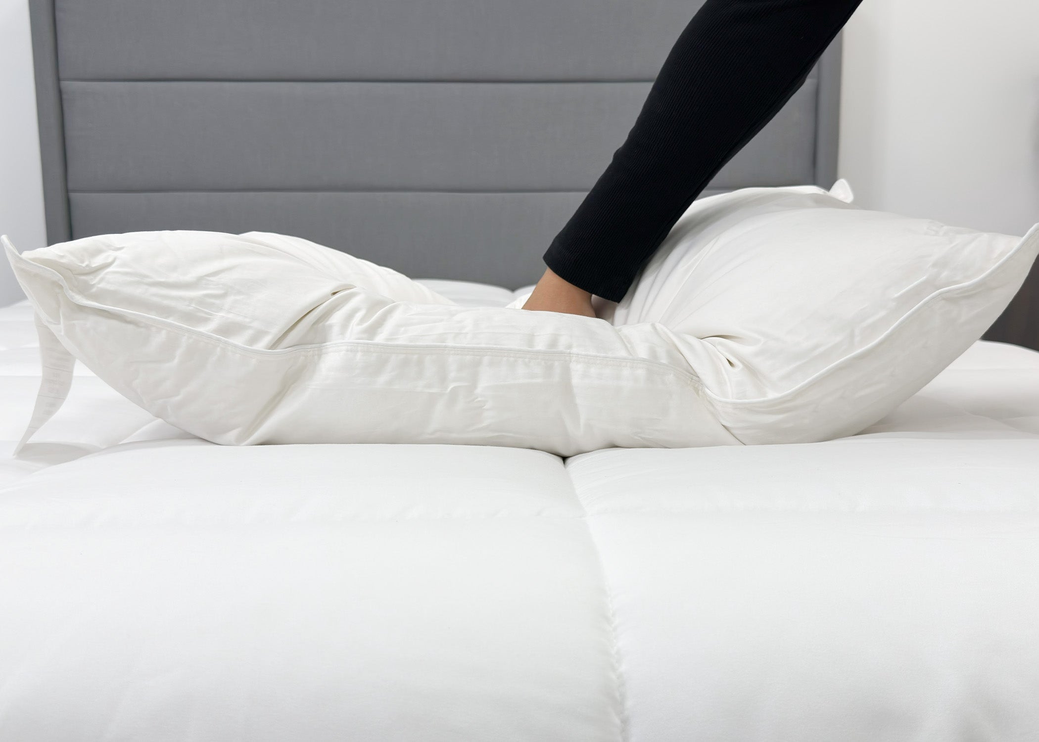 Pillowtex High End Weiß Goose Down Pillow | Unterstützung für mittleres Unternehmen