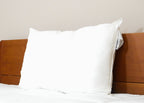 Pillowtex wie Down Pillow