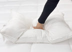 Pillowtex High End Weiß Goose Down Pillow | Unterstützung für mittleres Unternehmen