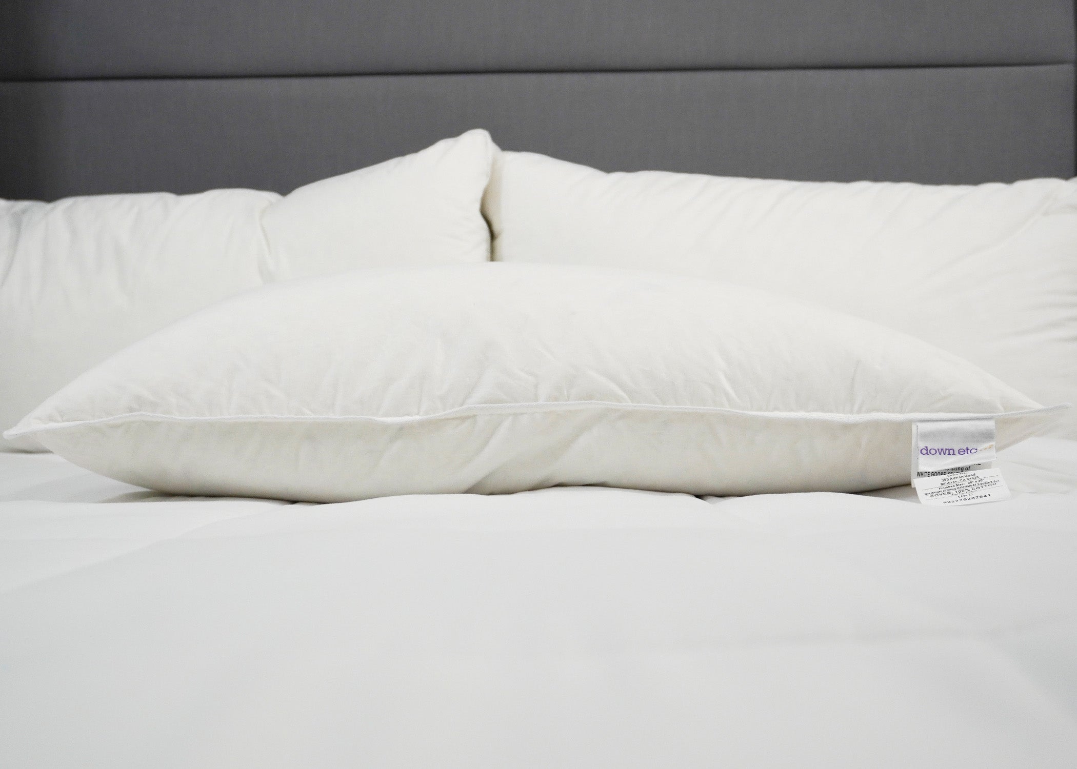 Rhapsody Wrap Down / Feder Kissen - in vielen Hyatt® Hotels vorgestellt