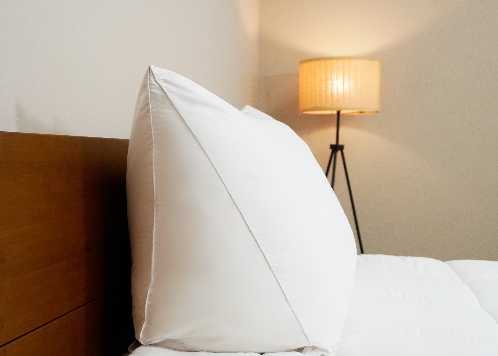 Pillowtex Lesen Wedge Bett Kissen
