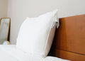 Pillowtex Premium Polyester Pillow | Soft
