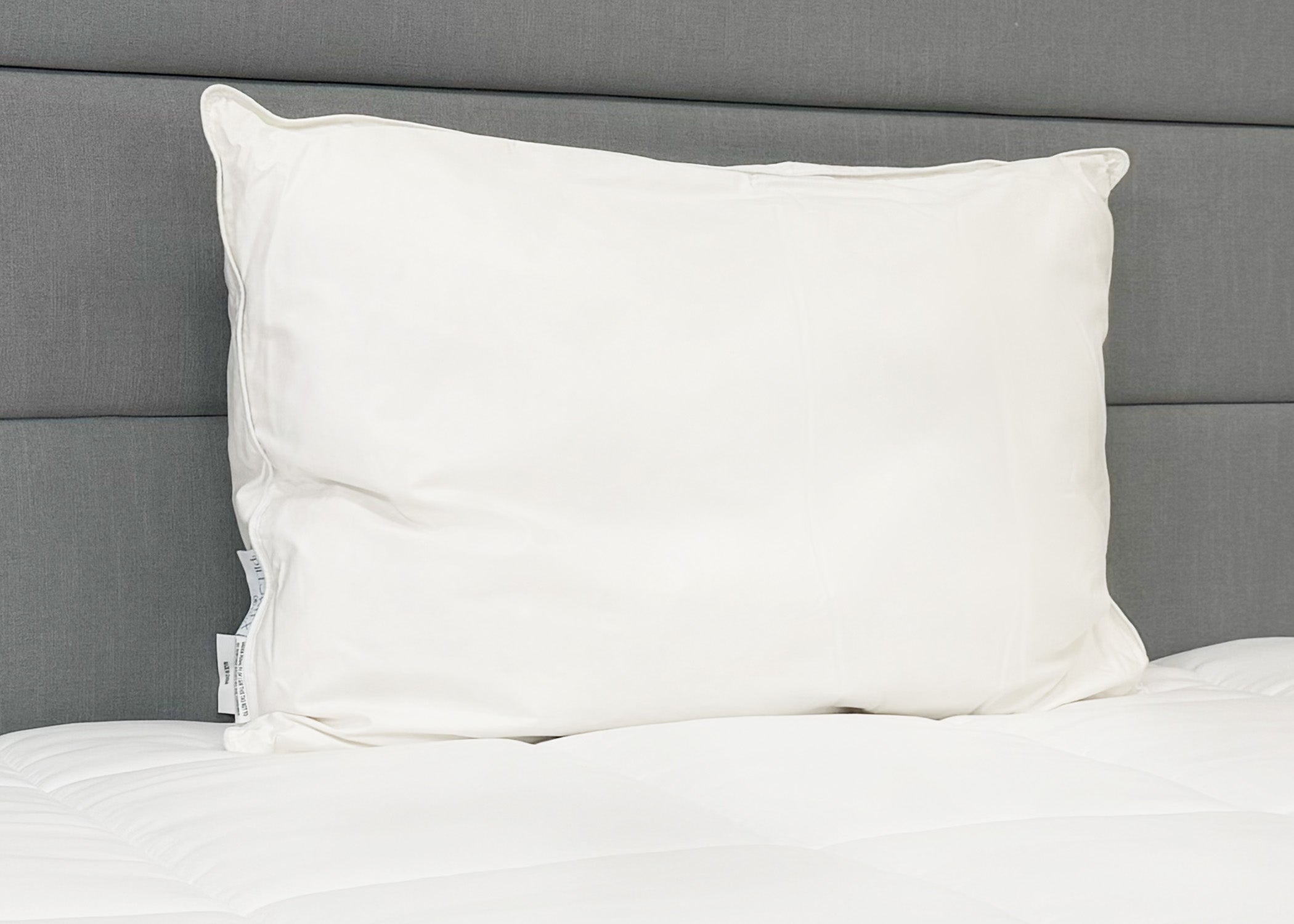 Pillowtex High End Weiß Goose Down Pillow | Soft Support für die