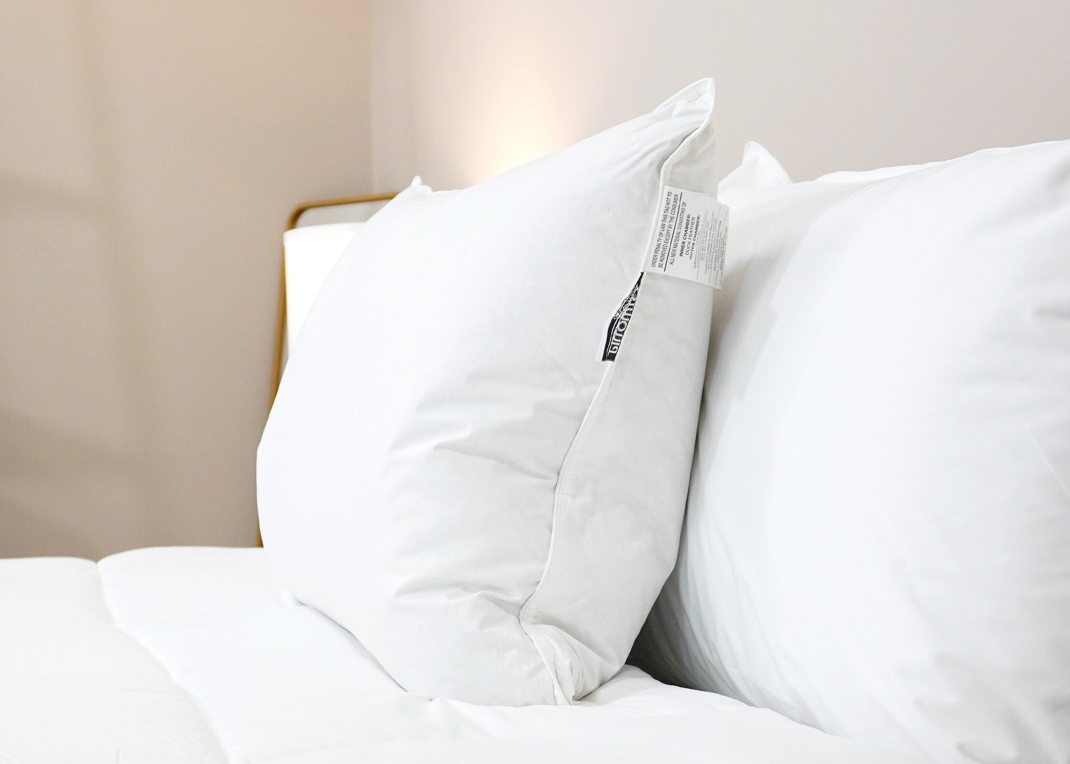 Pillowtex Luxury Core Down und Feder Kissen | 25% Feder / 75% Down