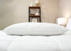 Pillowtex Luxury Core Down und Feder Kissen | 25% Feder / 75% Down