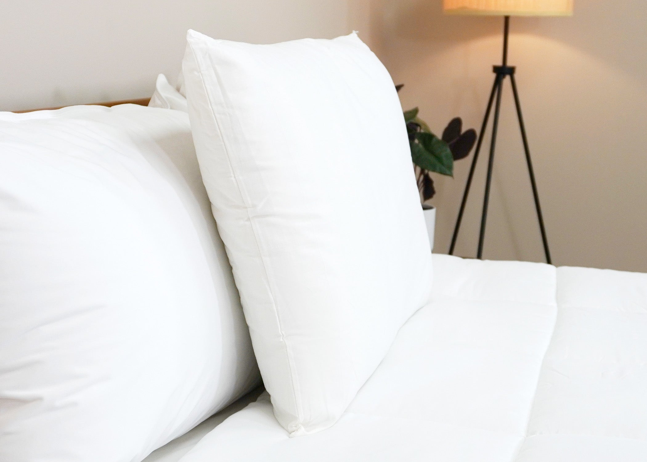Die Kissenfabrik Housekeeper's Choice Himmlisches Spiral Kissen - Featured bei Many Borgata Hotel Casino & Spa<sup>®</sup>