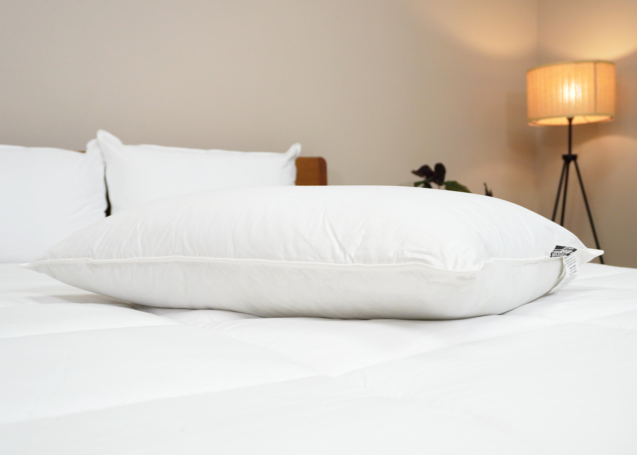 Pillowtex Luxury Core Down und Feder Kissen | 25% Feder / 75% Down