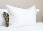 Down Dreams Classic Firm Pillow, früher auch Classic