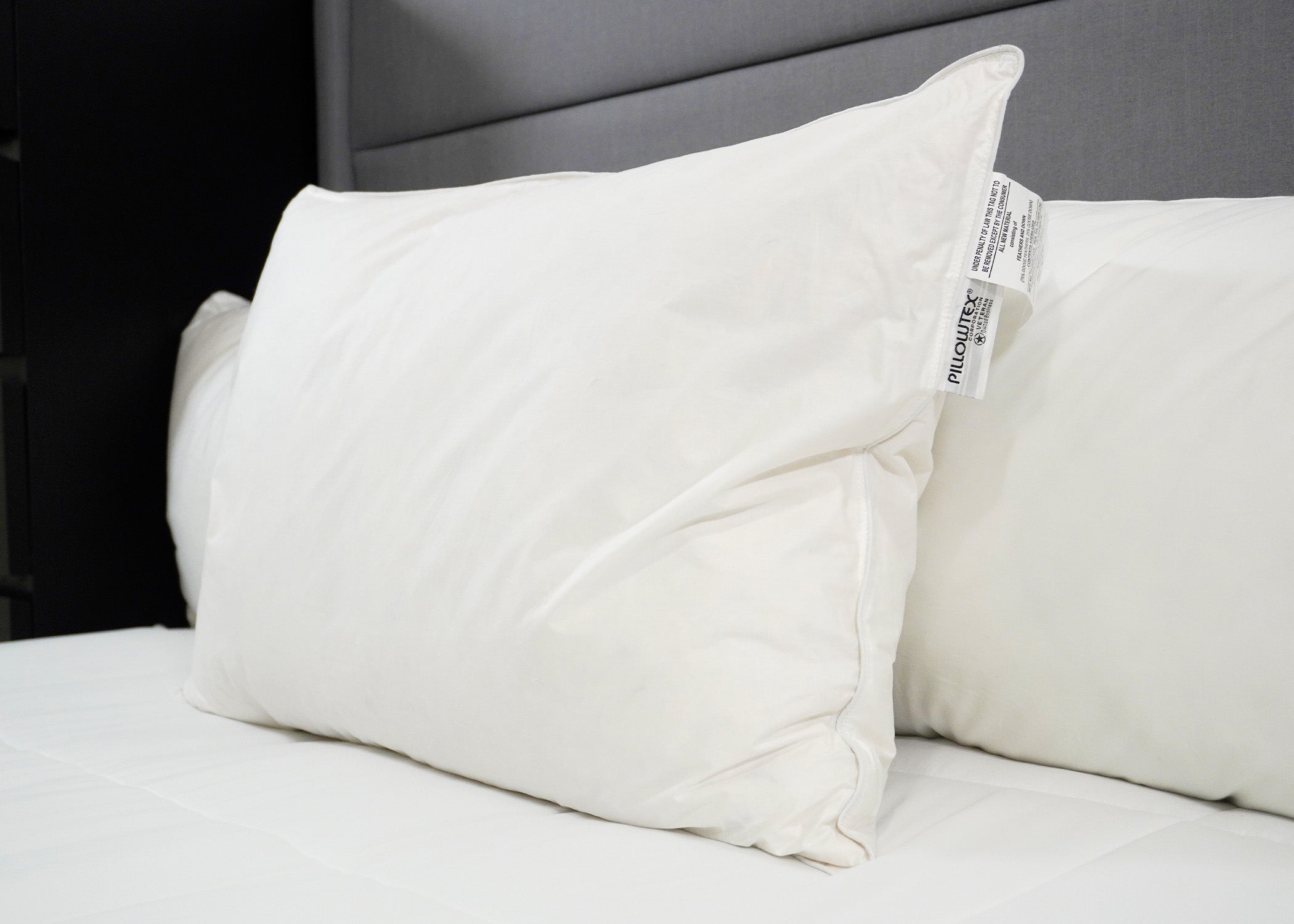 Pillowtex Weiß Goose Down & Feder Kissen | 75% Feder / 25% nach unten