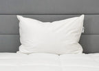 Pillowtex High End Weiß Goose Down Pillow | Unterstützung für mittleres Unternehmen