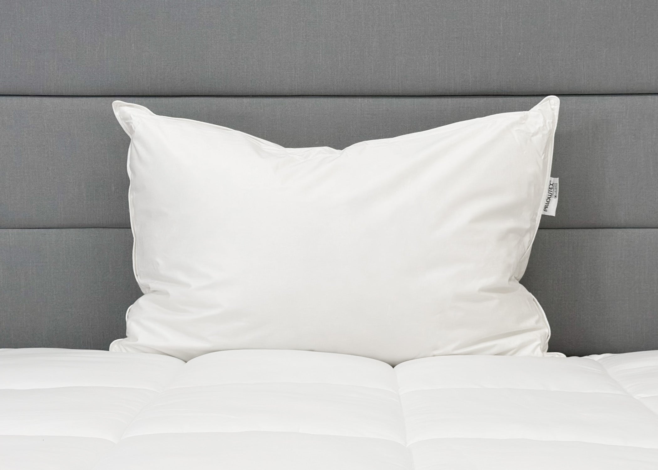Pillowtex High End Weiß Goose Down Pillow | Unterstützung für mittleres Unternehmen