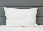 Pillowtex High End Weiß Goose Down Pillow | Soft Support für die