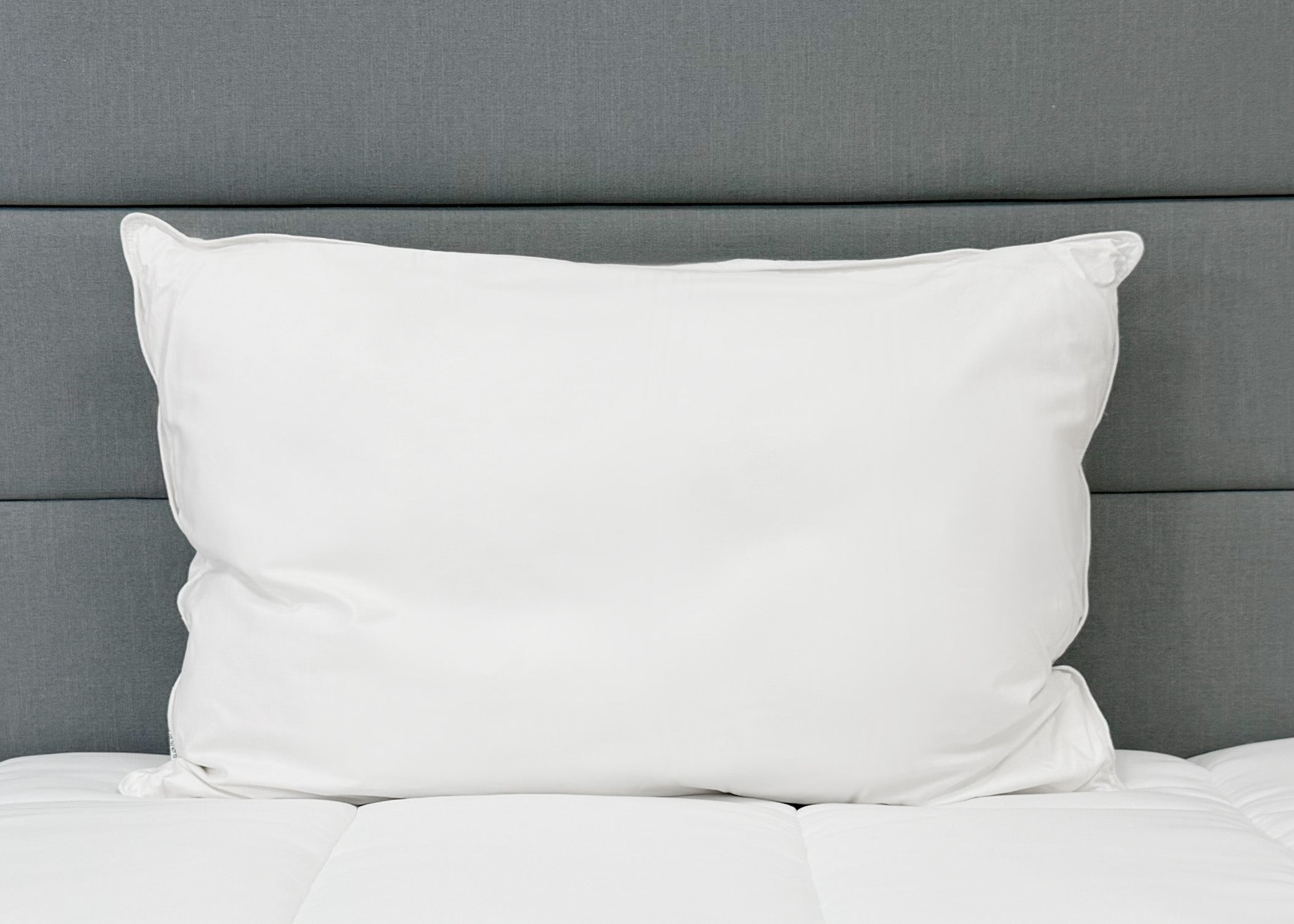 Pillowtex High End Weiß Goose Down Pillow | Soft Support für die