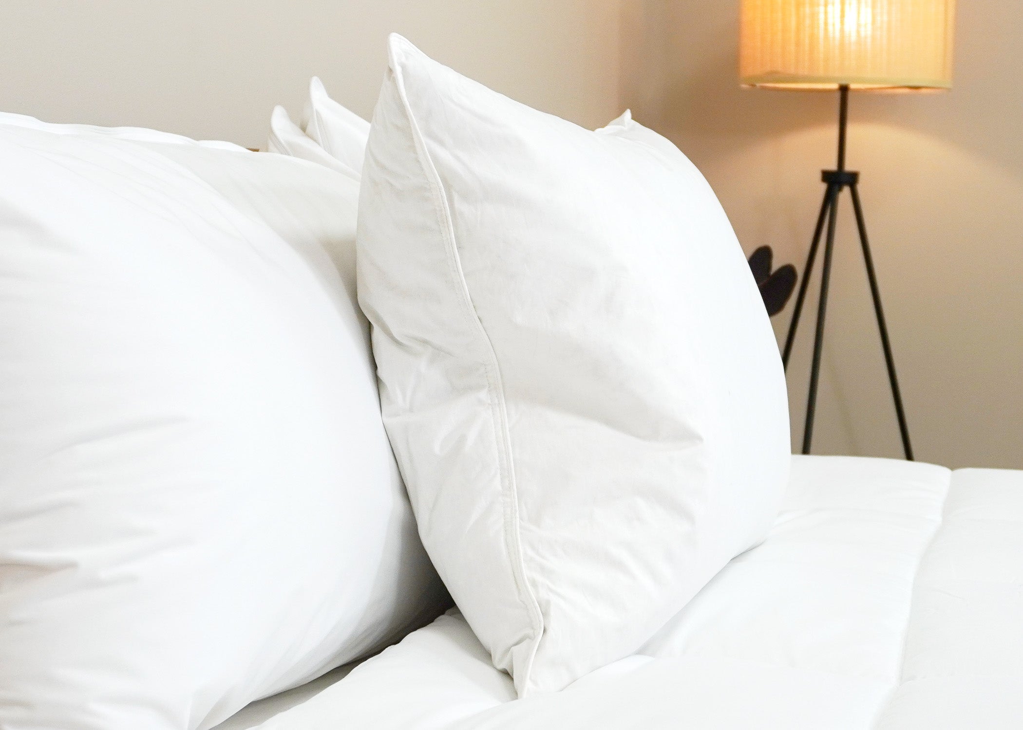 Pillowtex Luxury Core Down und Feder Kissen | 25% Feder / 75% Down