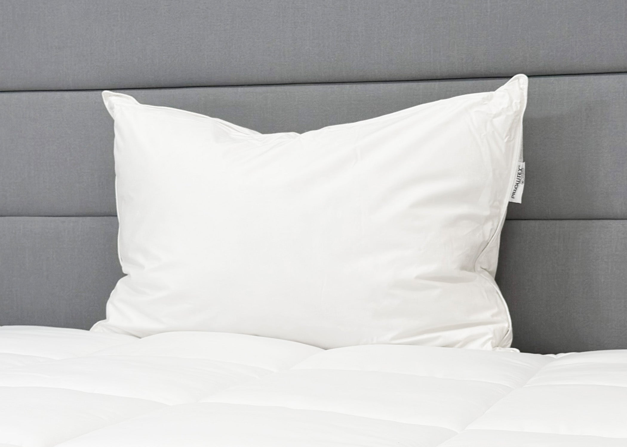 Pillowtex High End Weiß Goose Down Pillow | Unterstützung für mittleres Unternehmen
