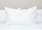 Down Dreams Classic Firm Pillow, früher auch Classic