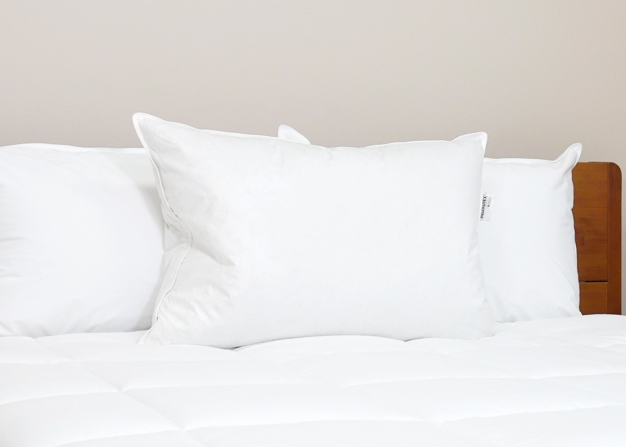 Pillowtex Luxury Core Down und Feder Kissen | 25% Feder / 75% Down