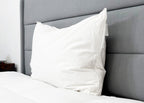 Pillowtex High End Weiß Goose Down Pillow | Unterstützung für mittleres Unternehmen