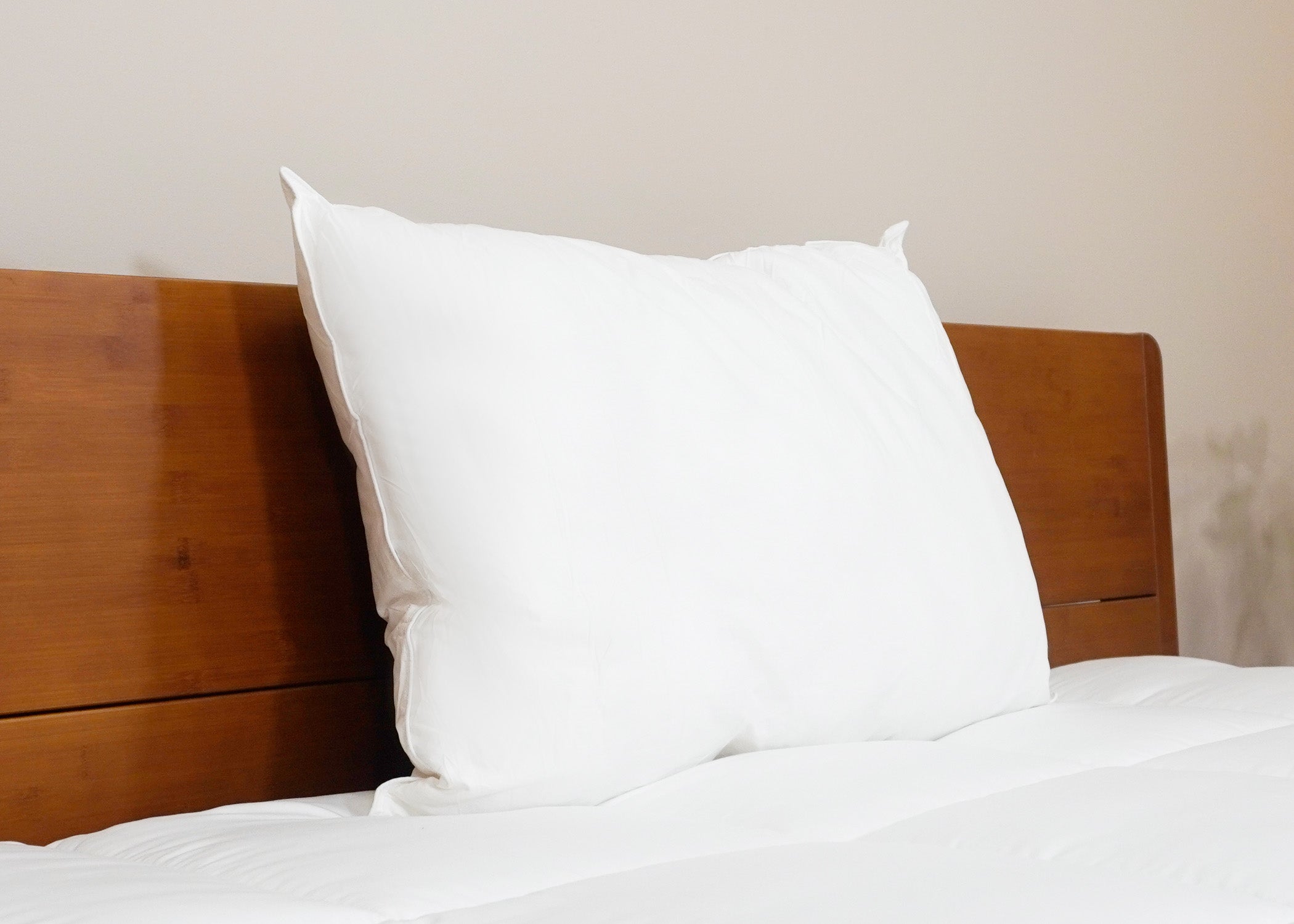 Pillowtex Premium Polyester Pillow | Soft