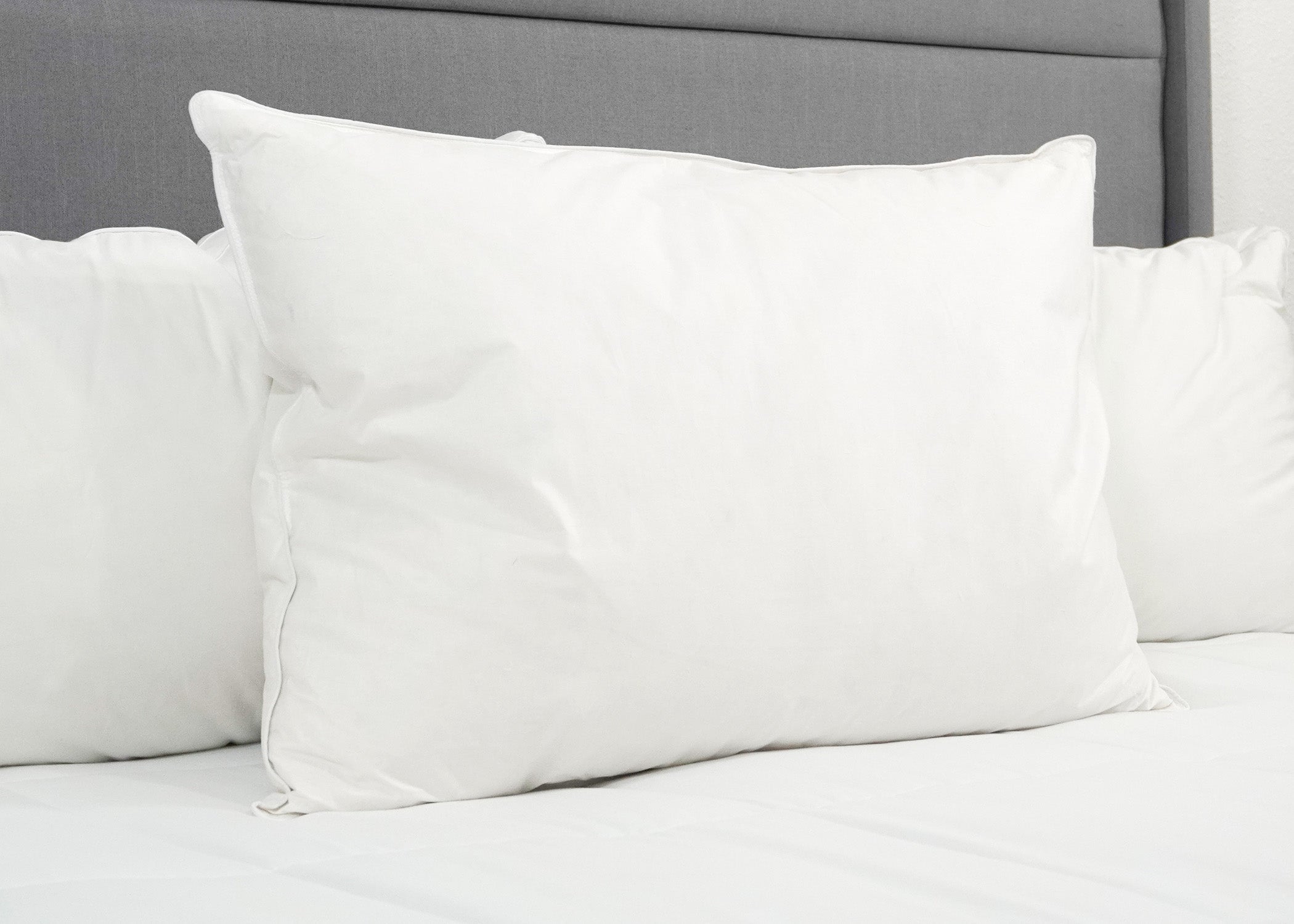 Pillowtex Weiß Goose Down & Feder Kissen | 75% Feder / 25% nach unten