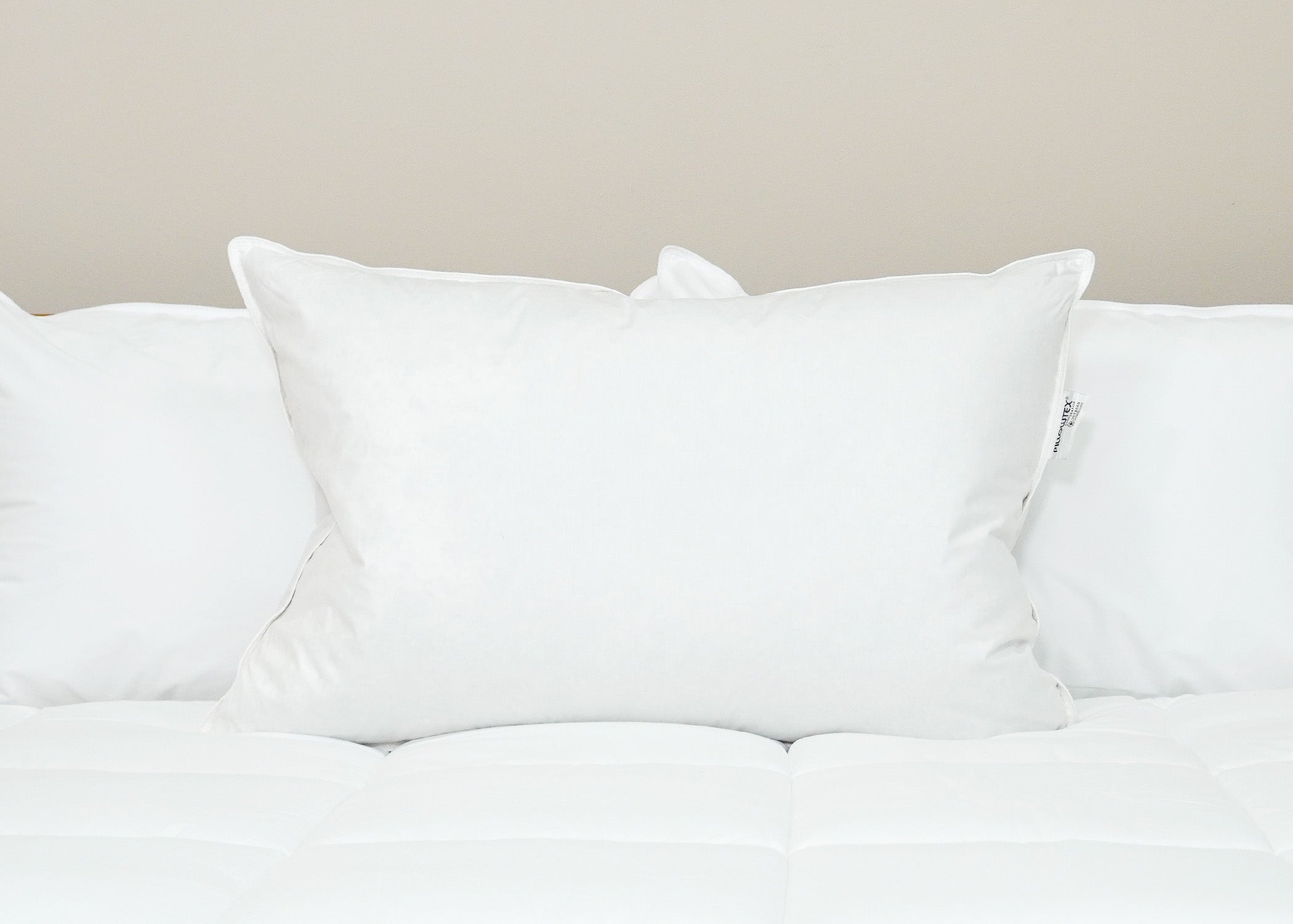 Pillowtex Luxury Core Down und Feder Kissen | 25% Feder / 75% Down