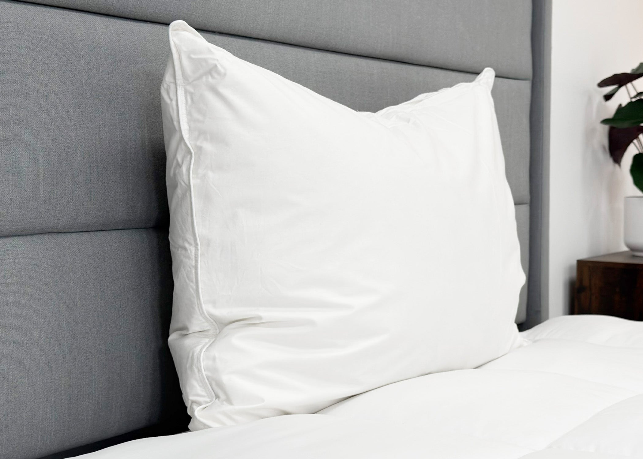 Pillowtex High End Weiß Goose Down Pillow | Unterstützung für mittleres Unternehmen