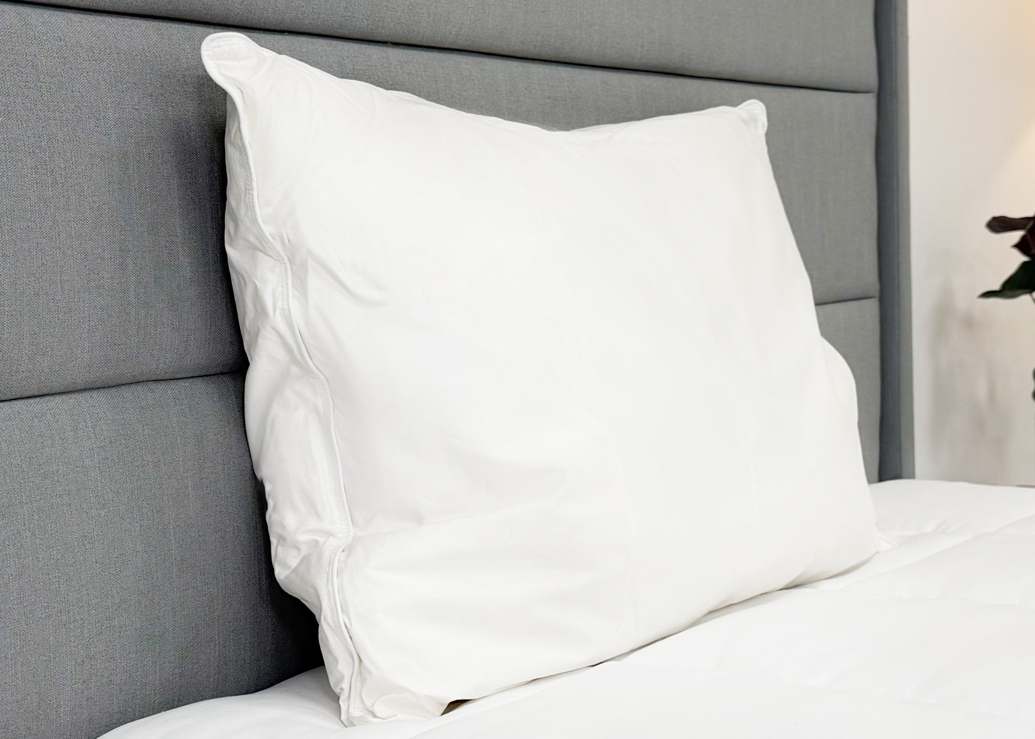 Pillowtex High End Weiß Goose Down Pillow | Soft Support für die