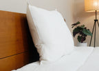 Pillowtex Premium Polyester Pillow | Soft