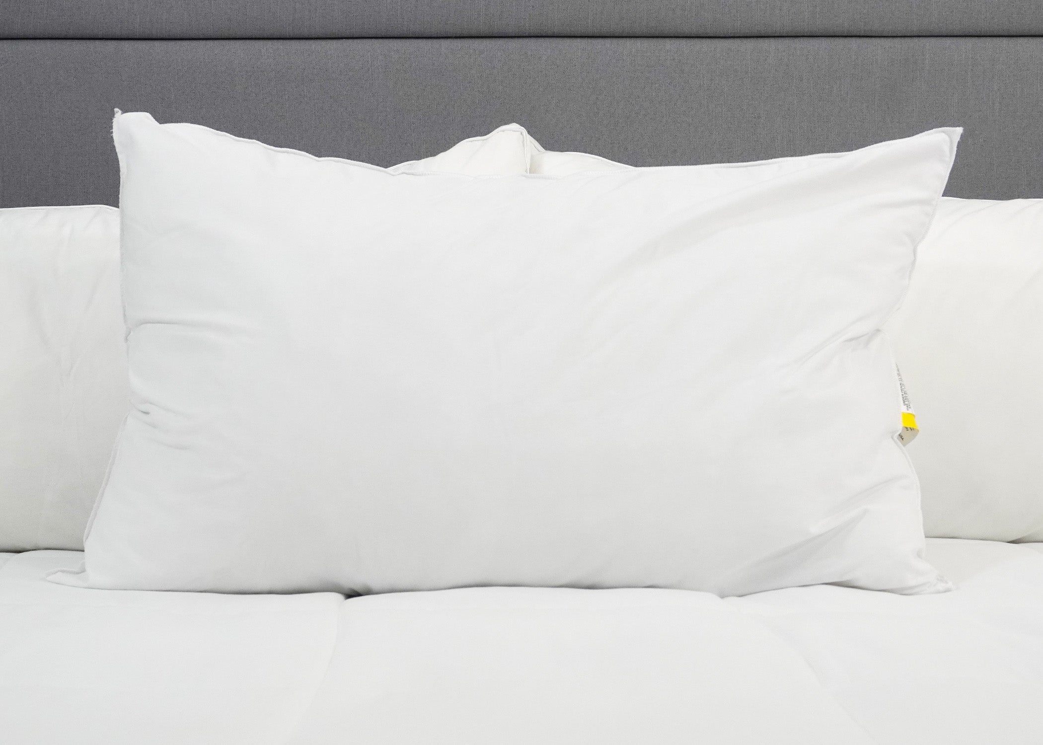 Martex Brentwood Gold Kissen - Ausgestellt in vielen Hotels