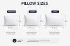 Pillow Factory Comforel Pillow, ausgestellt in Sheraton Hotels