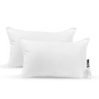 Pillowtex Pillow Insert | Polyester