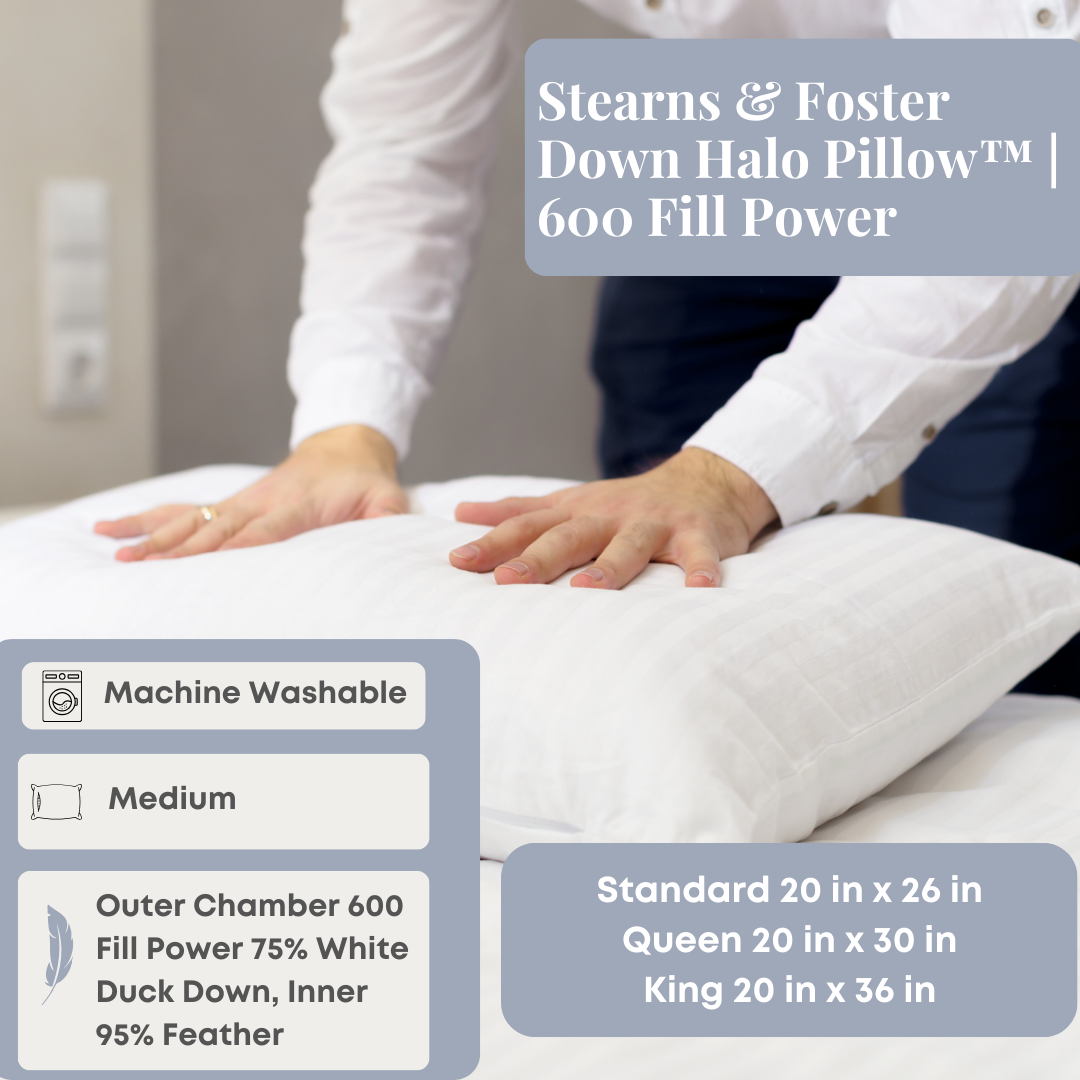 Stearns & Foster Down Halo PillowTM | 600 Füllkraft
