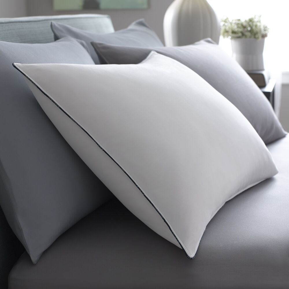 Pacific Coast Federn Bester Kissen